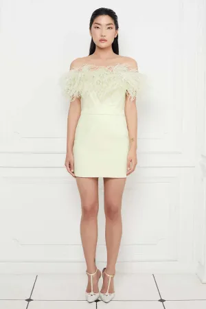 High Waisted Mini Skirt in Pale Chartreuse