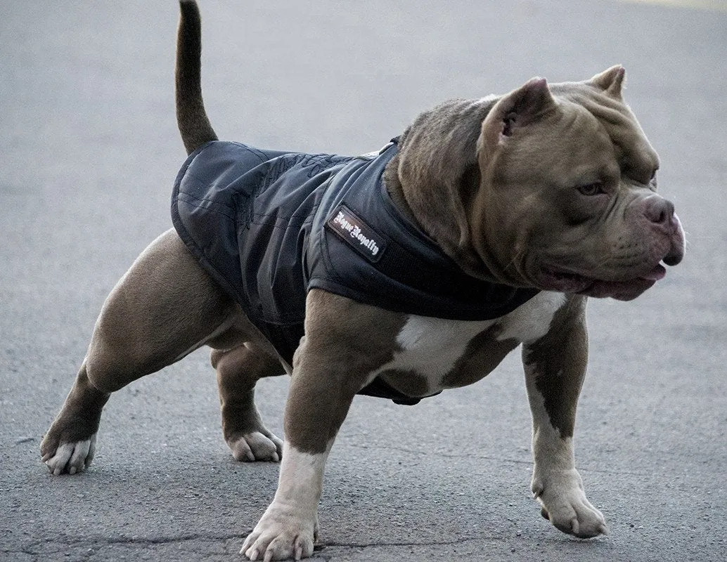Rogue Active Dog Jacket - 'BLACK'